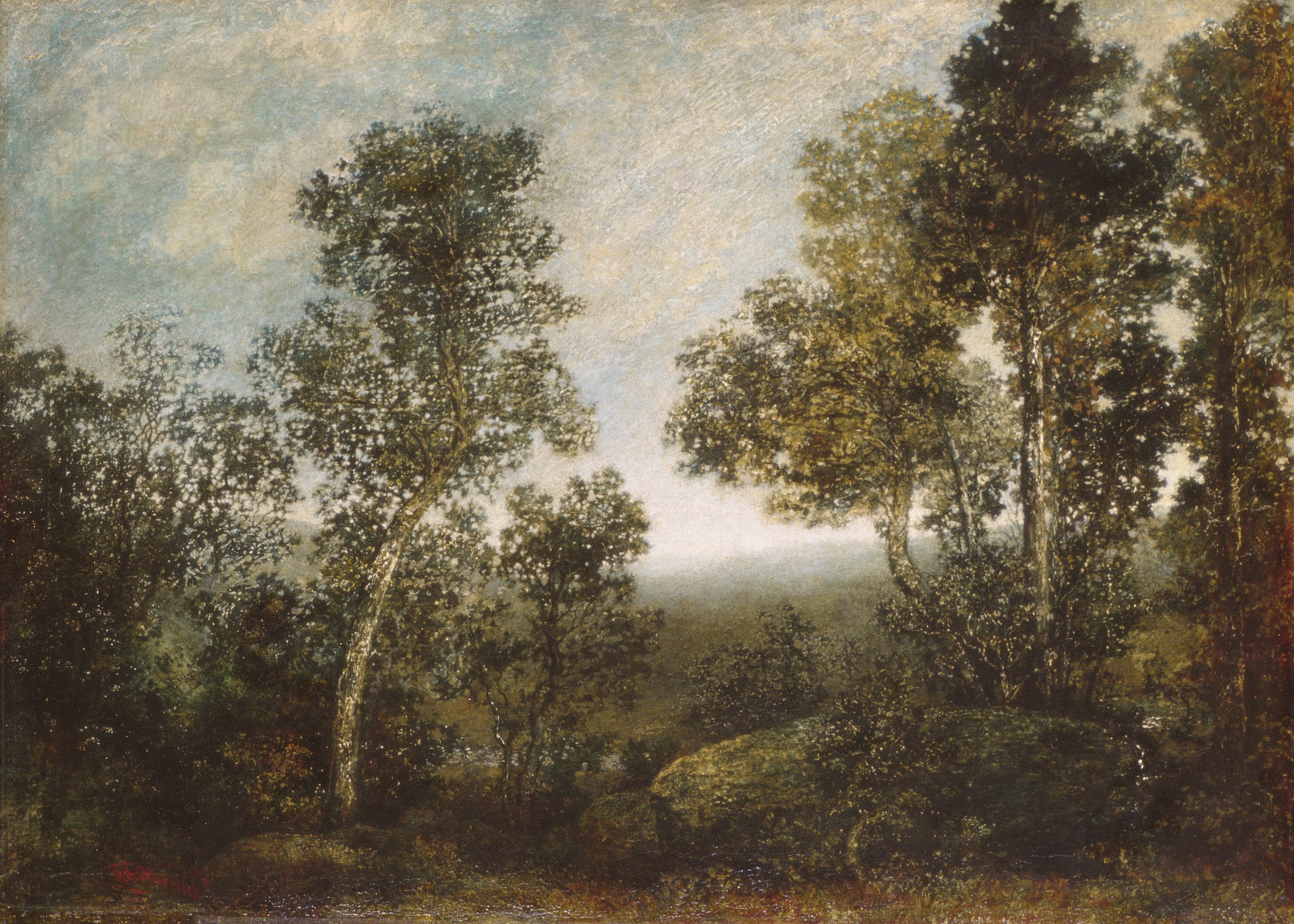 Woodland Landscape